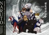 kakashi4jp6.thumbnail